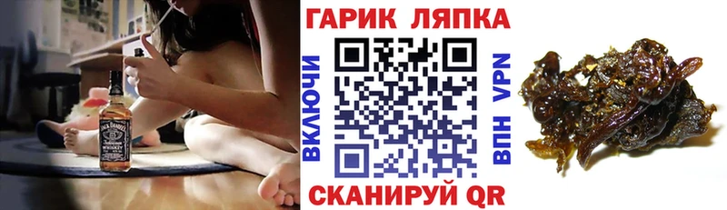 ГАШИШ Cannabis Дубна