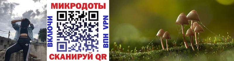 МЕГА как войти  Дубна  Галлюциногенные грибы Cubensis 