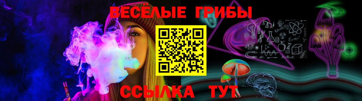 Псилоцибиновые грибы Psilocybine cubensis  Дубна  Галлюциногенные грибы ЛСД 